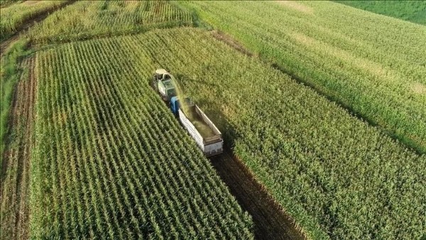 Hazine Destekli Kredilerde Detaylar Netleşti! Faizlerde Yüzde 100'e Varan İndirim İmkanı
